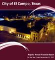 City of EC Popular Annual Financial Report